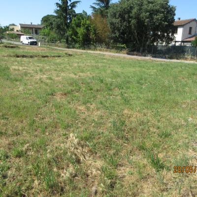 Photo du terrain