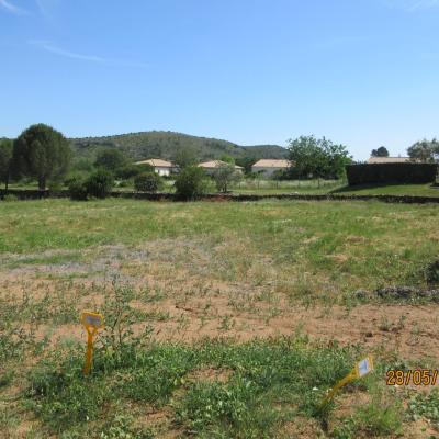 Photo du terrain