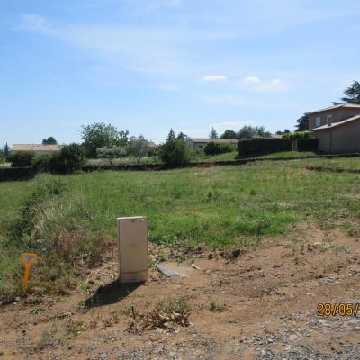 Photo du terrain