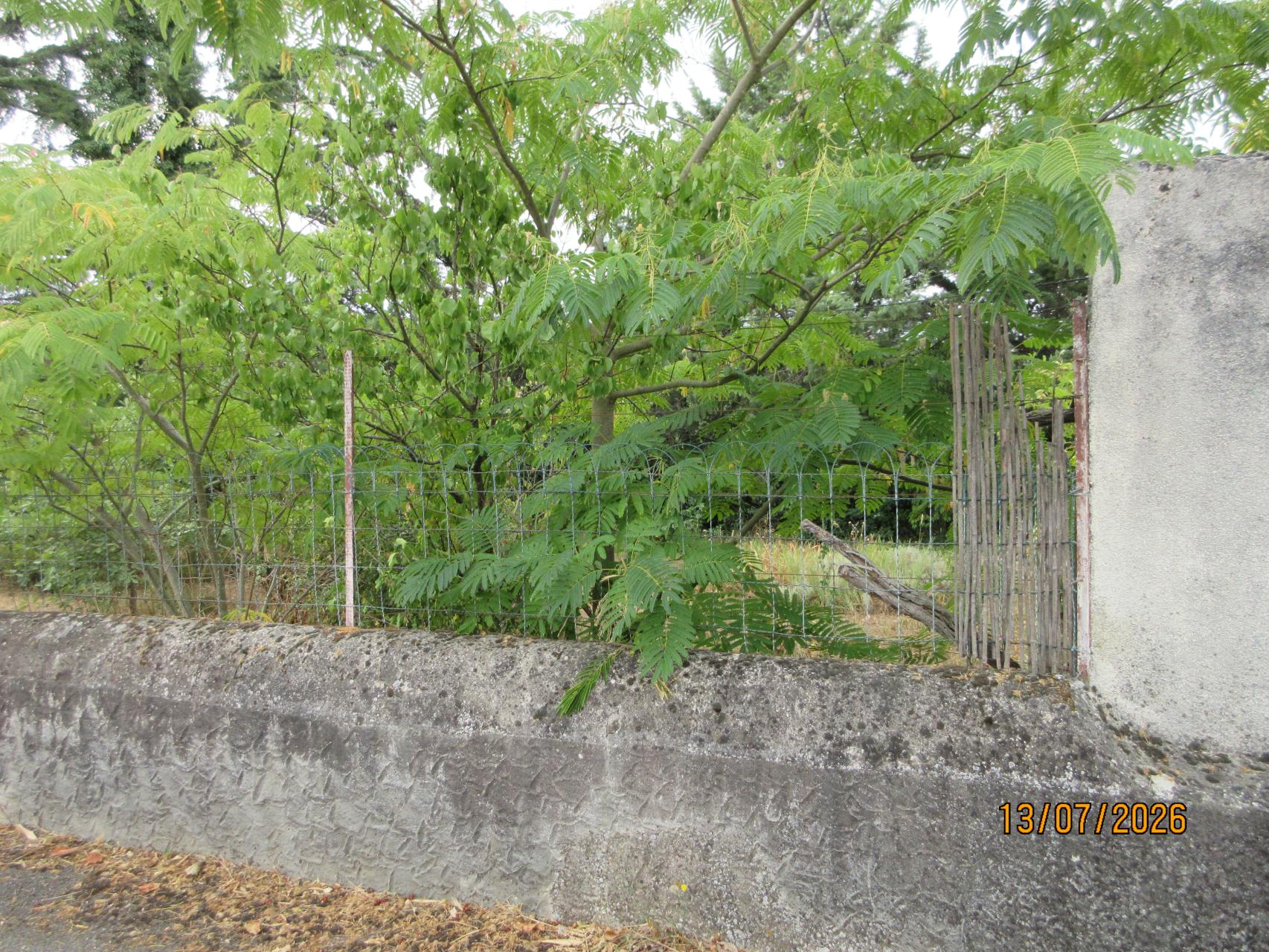 Photo du terrain
