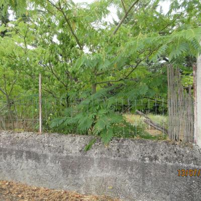 Photo du terrain