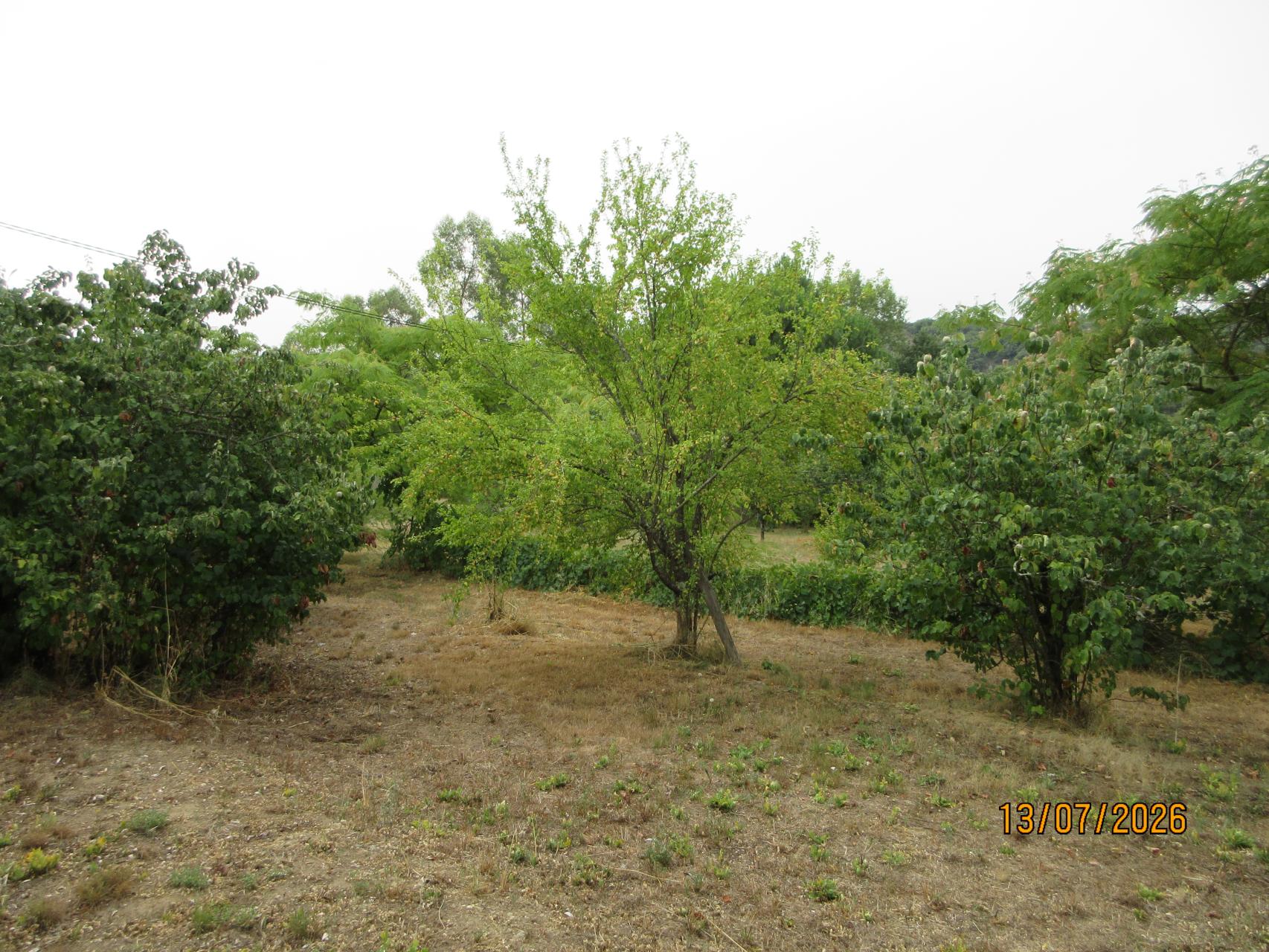 Photo du terrain