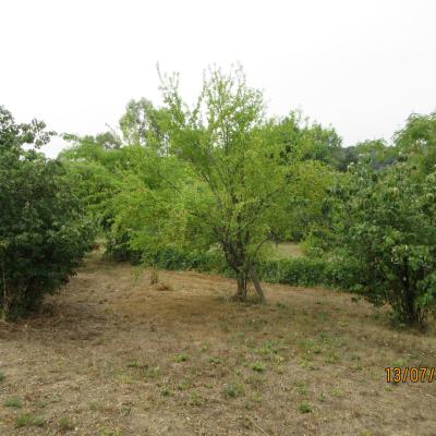 Photo du terrain