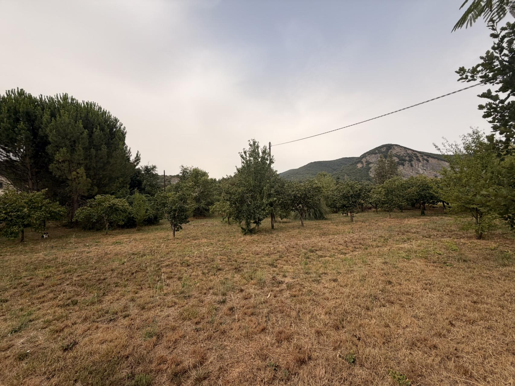 Photo du terrain