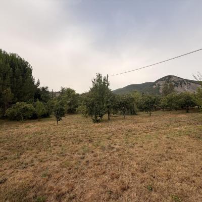 Photo du terrain