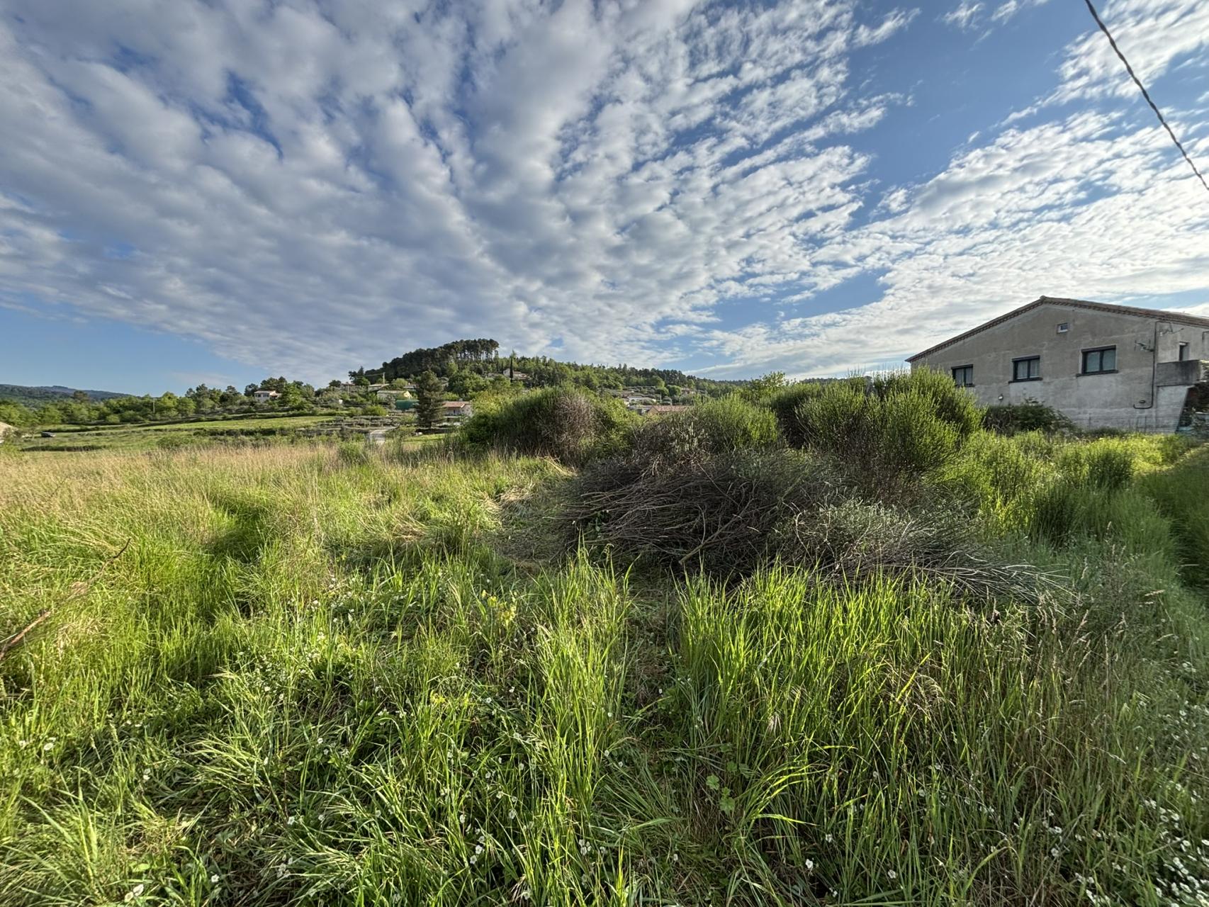 Esquisses, avant-projet