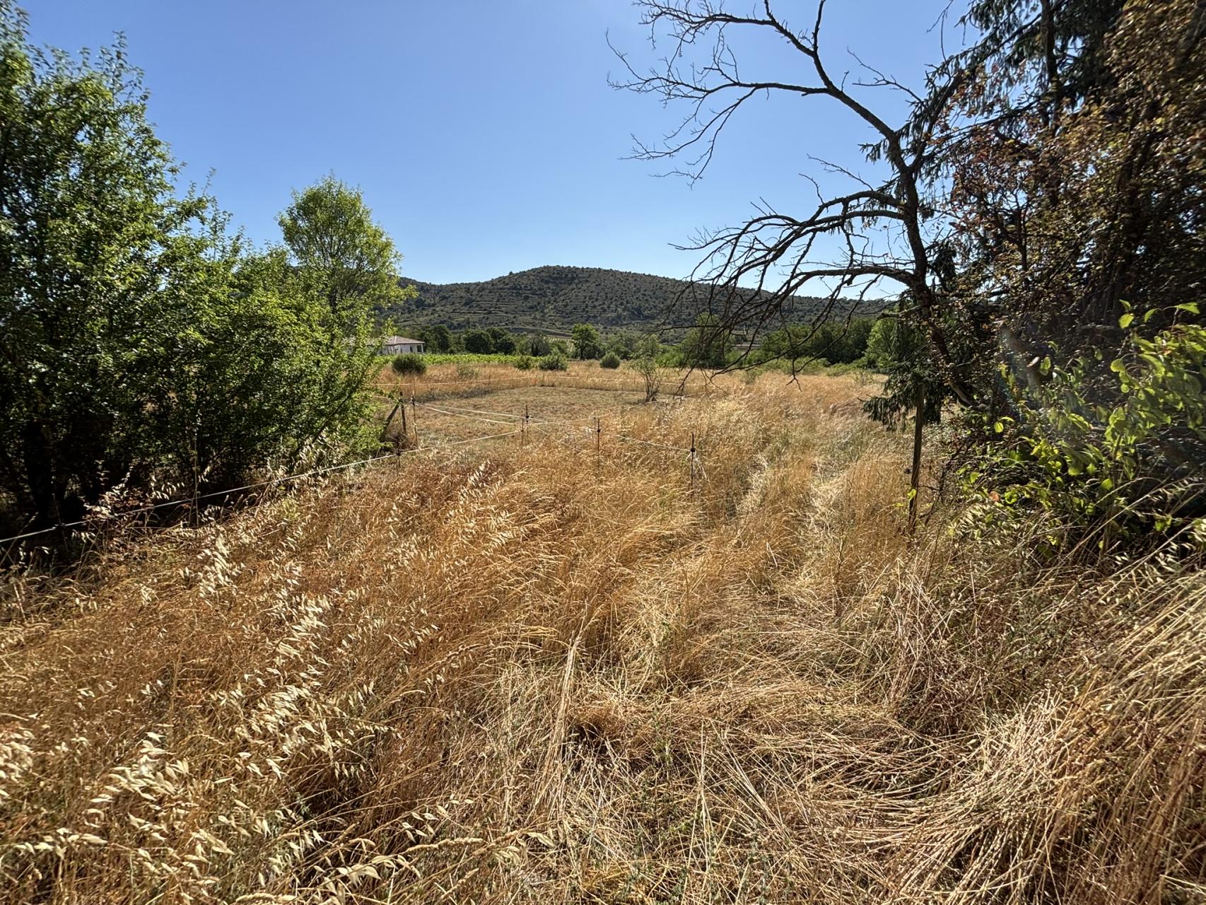 Photo du terrain
