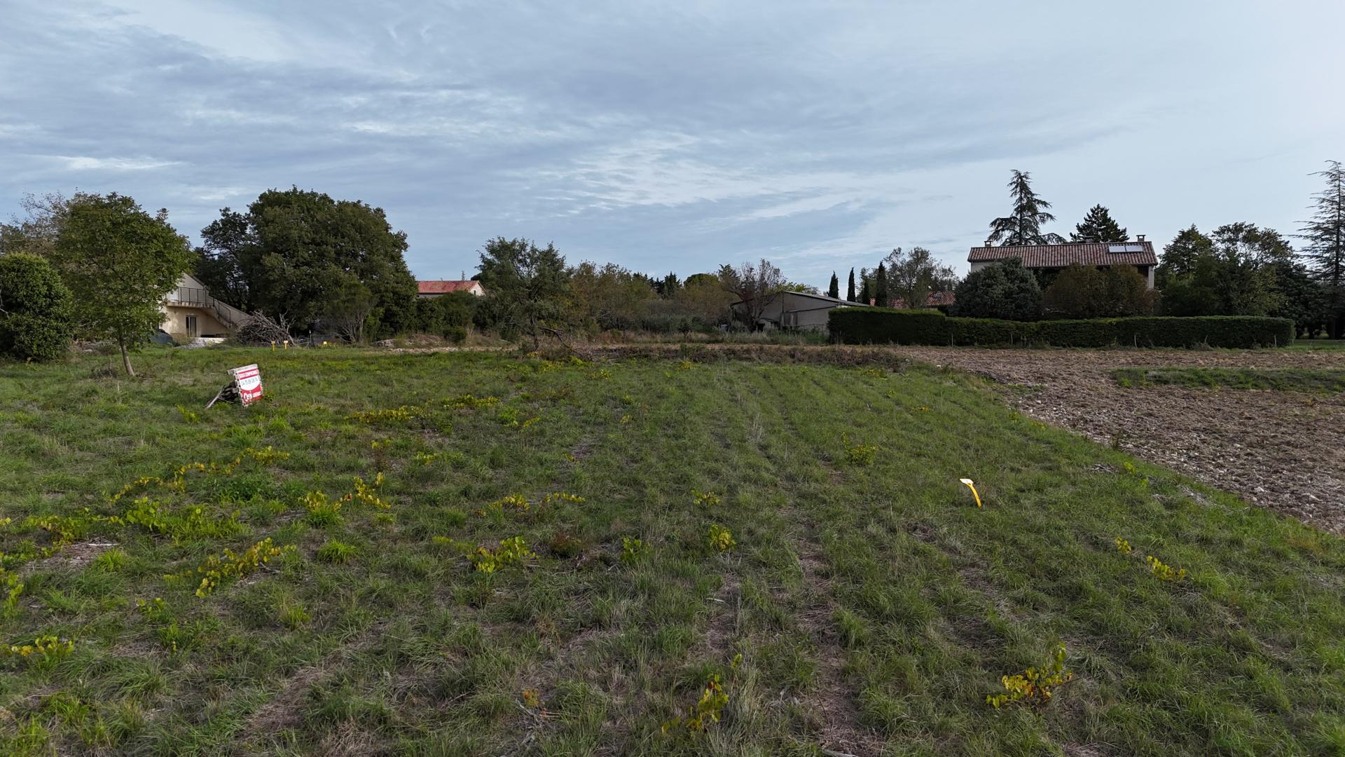 Esquisses, avant-projet